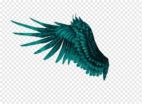 png wings deutsch.